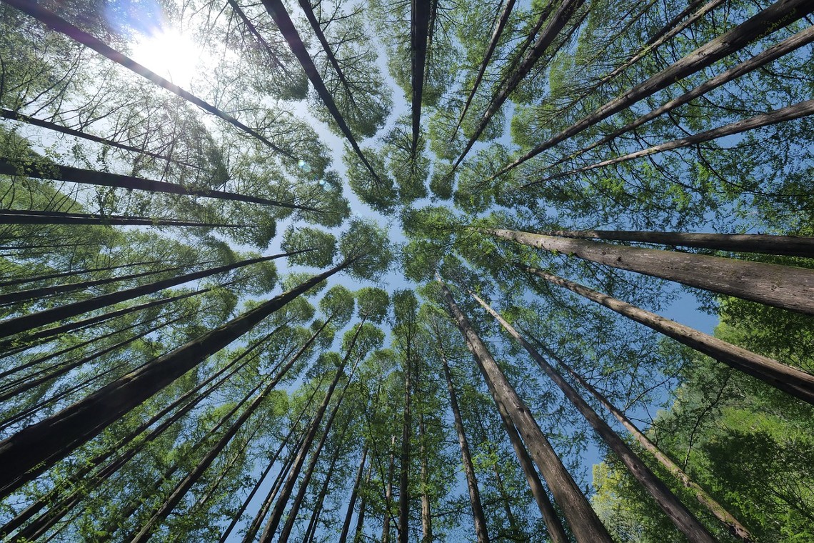 Séminaire interne de l'axe 1 d'Héritages : Cultures environnementales