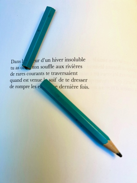 [JE] Vulnérabilité(s) comme instance de création en littérature contemporaine. Féminité, identités culturelles et diversité de genres.