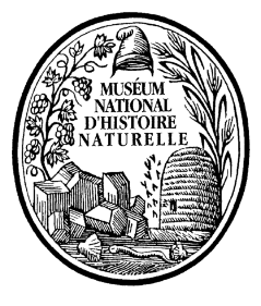 Collectionner les objets de la nature. Réflexions sur la matérialité des pratiques naturalistes au XVIIIe siècle